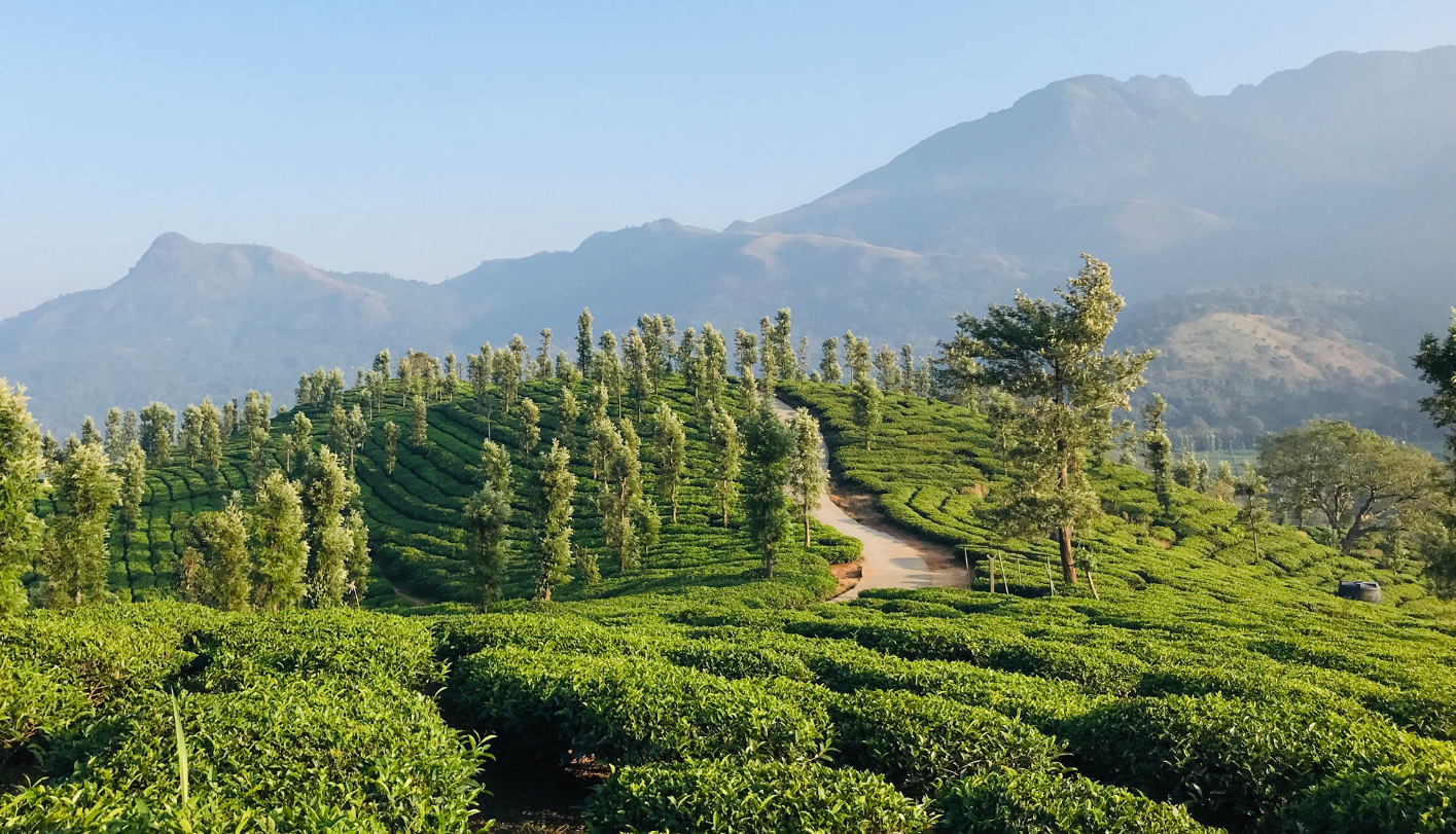 Social Media Content Creator Brand Growth Specialist Social Media Content Creator Brand Growth Specialist dmmuneef